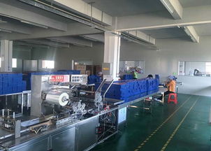 洗衣片代加工与网络信息安全软件开发 聚壹生物的创新之道